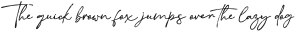 That Appeal Script Rough otf (400)