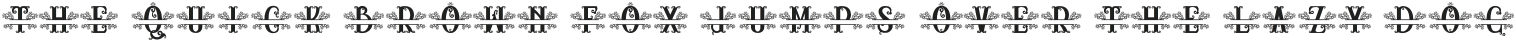 RELIC ISLAND MONOGRAM3 otf (400)