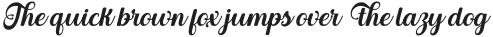 BerthaScript-Italic otf (400)