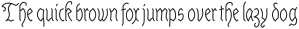 Linear Fraktu Light otf (300)