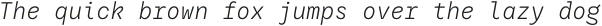 Resist Mono Light Italic otf (300)