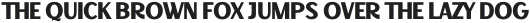 Decary Sans Bold otf (700)