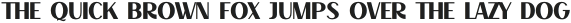 Decary Sans Light otf (300)