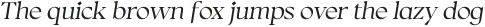 Thorfin Light Italic otf (300)