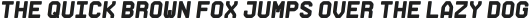 Archimoto V01 Heavy Italic otf (800)