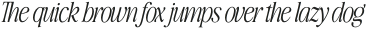 Awesome Serif Italic Light Extra Tall otf (300)