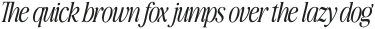 Awesome Serif Italic Extra Tall otf (400)