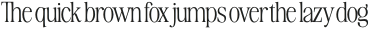 Awesome Serif Light Extra Tall otf (300)