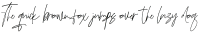 Adustine Signature Regular otf (400)