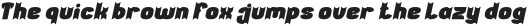 THE ACTION HERO Bold Italic otf (700)