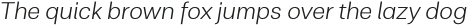 Clinica Pro Light Italic otf (300)