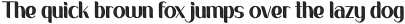 Sans Fierro Texture otf (400)