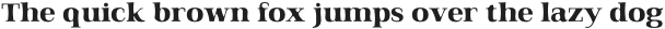 Qualitype Neo Dark Bold otf (700)