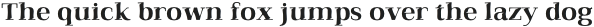 Qualitype Neo Lamp Medium otf (500)