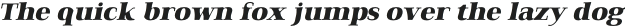 Qualitype Neo Dark Black Italic otf (900)