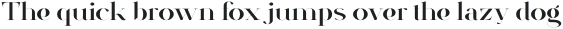 VSOP Wide 1 otf (400) Sample