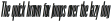 Horse Pro Bold Italic otf (700)