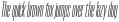 Horse Pro Light Italic otf (300)
