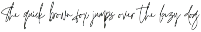 Qinderia - Handwritten Signature preview