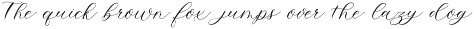 Lemon Squeezy Calligraphy Font preview