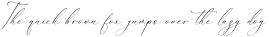 Dilanda Merlinmota Italic otf (400)