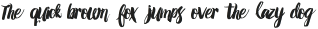 Amelian Script otf (400)