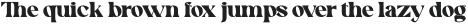Swomun Serif Regular otf (400)