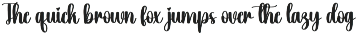 Delighted | Script Font preview