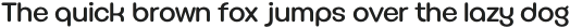 Royce Medium otf (500)