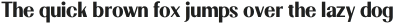 Ratieka-Regular otf (400)