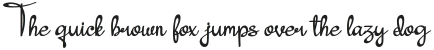Stay Blink Regular otf (400)