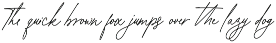 Atelier Femme // Modern Script preview