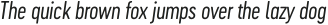 Cervo Neue Light Neue Italic otf (300)