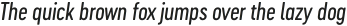 Cervo Neue Regular Neue Italic otf (400)