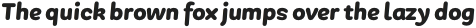 PGF-Dinos Black-Italic otf (900)