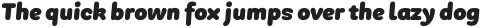 PGF-Dinos ExtraBlack-Italic otf (900)