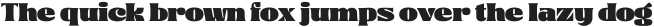Largest Bold otf (700)