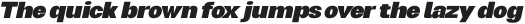 Normal Extra Bold Oblique otf (400)