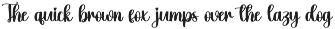 Future | Script Font preview