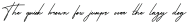 American Signature otf (400)