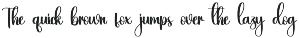 Hey Winter | Script Font preview