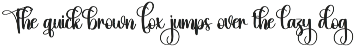 Reload | Script Font preview
