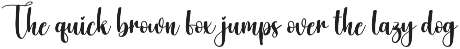 Lightening | Script Font preview