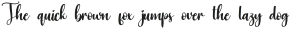 Number Regular otf (400)