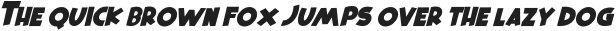 Squire Hawaii Italic otf (400)