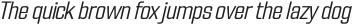 FX Neofara Light Italic otf (300)