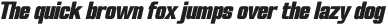 FX Neofara Black Italic otf (900)