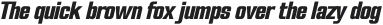 FX Neofara Extra Bold Italic otf (700)