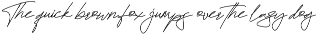 Brittney Signature Business Font preview