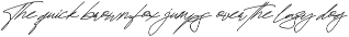 Fayetteville Signature Business Font preview
